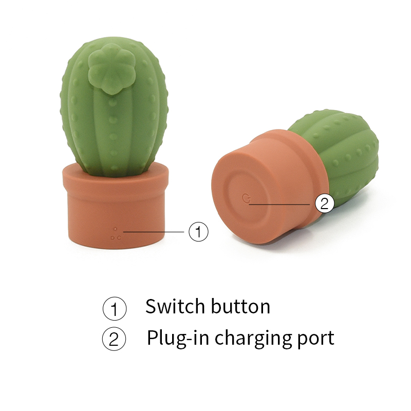 Flower Pot Cactus vibes Emballage élégant en silicone FDA - Shenzhen Zhimo Technology Co., Ltd.